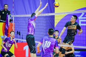 棒球与全球贸易球棒木材来源对亚马逊雨林的影响